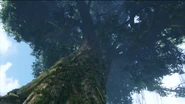 Hometree 3 HD