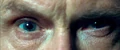 Eyesrufus.jpg