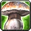Spell druid wildmushroom.png
