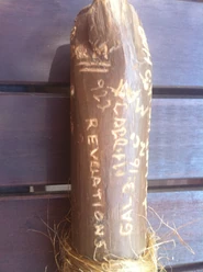 Photo-2