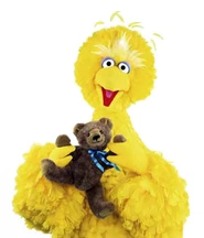 Bigbird-radar-NEW
