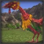 Poultry03.jpg