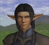 MElvaanHair1b