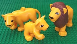 Lionsduplo