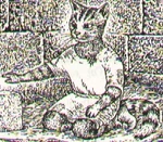 Gingivere Greeneyes.jpg