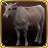 Cattle