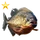 Item redpiranhagold 01