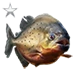 Item redpiranhasilver 01