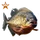 Item redpiranhabronze 01