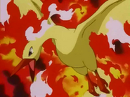 http://images1.wikia.nocookie.net/__cb20100903164641/es.pokemon/images/thumb/6/6b/EP231_Moltres.png/185px-EP231_Moltres.png