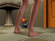 Gnome attack