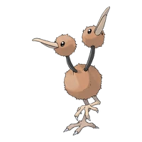 Imatge de Doduo