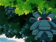 EP145 Pineco en los árboles