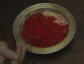 Jelly.jpg