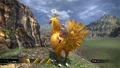 Chocobo question mark.jpg