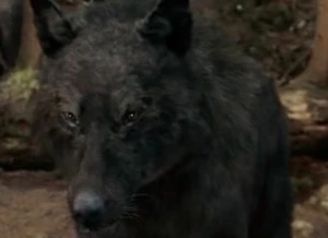 Sam