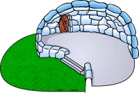 Backyard Igloo