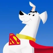 S-shield krypto