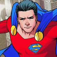 S-shield monel