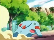 EP261 Phanpy confuso