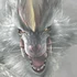 NonoOrugaronAvatar