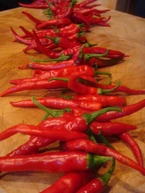 Cayenne ppr.jpg