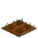 Gladiolus withered