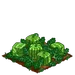 Square Melon 100