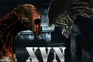 XvN