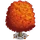Beech Tree-icon