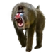 Item mandrill 01