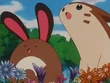 EP255 Sentret y Furret