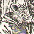 Friar Bunfold.jpg