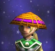 Hat Headwraps of the Zealous Female