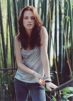 Kristen-stewart-20081030-467770