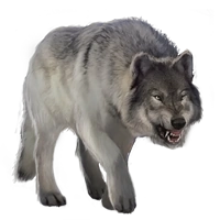Huge item graywolf 01