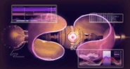 Juri's eye