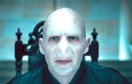 Voldemort at Malfoy Manor (Chapter 1)