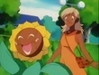 EP137 Sunflora bronceado
