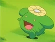 EP180 Skiploom