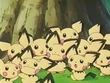 EP181 Pichu (2)