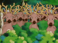 EP127 Manada real de Stantler