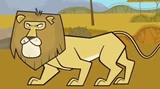 Lion2