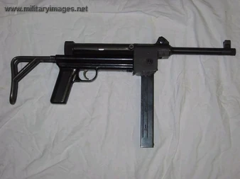 SIG 310