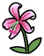 Lily Pin.PNG