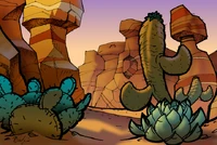 Dingocanyon