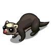 Black Ferret-icon.png