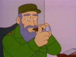 Fidel