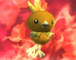 Torchic SSBB