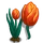 Orange Tulips